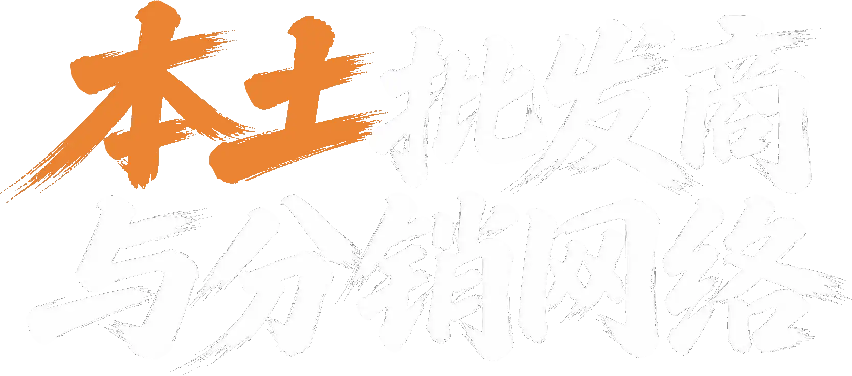 本土批发商与分销网络